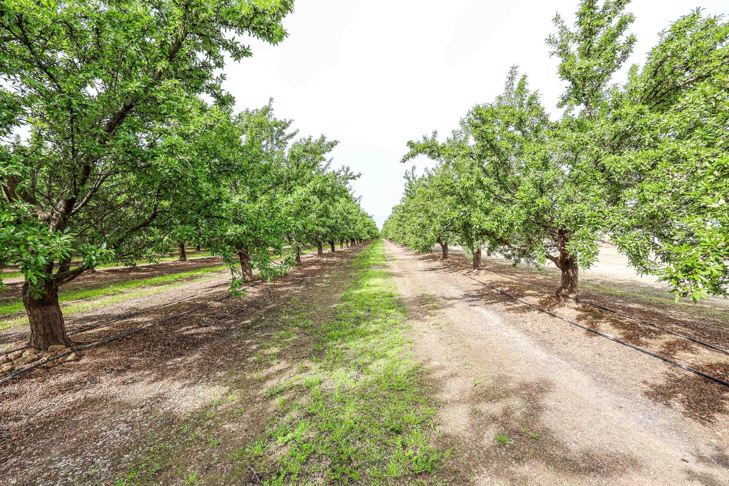 0 0 Road 29, Madera, CA 93637