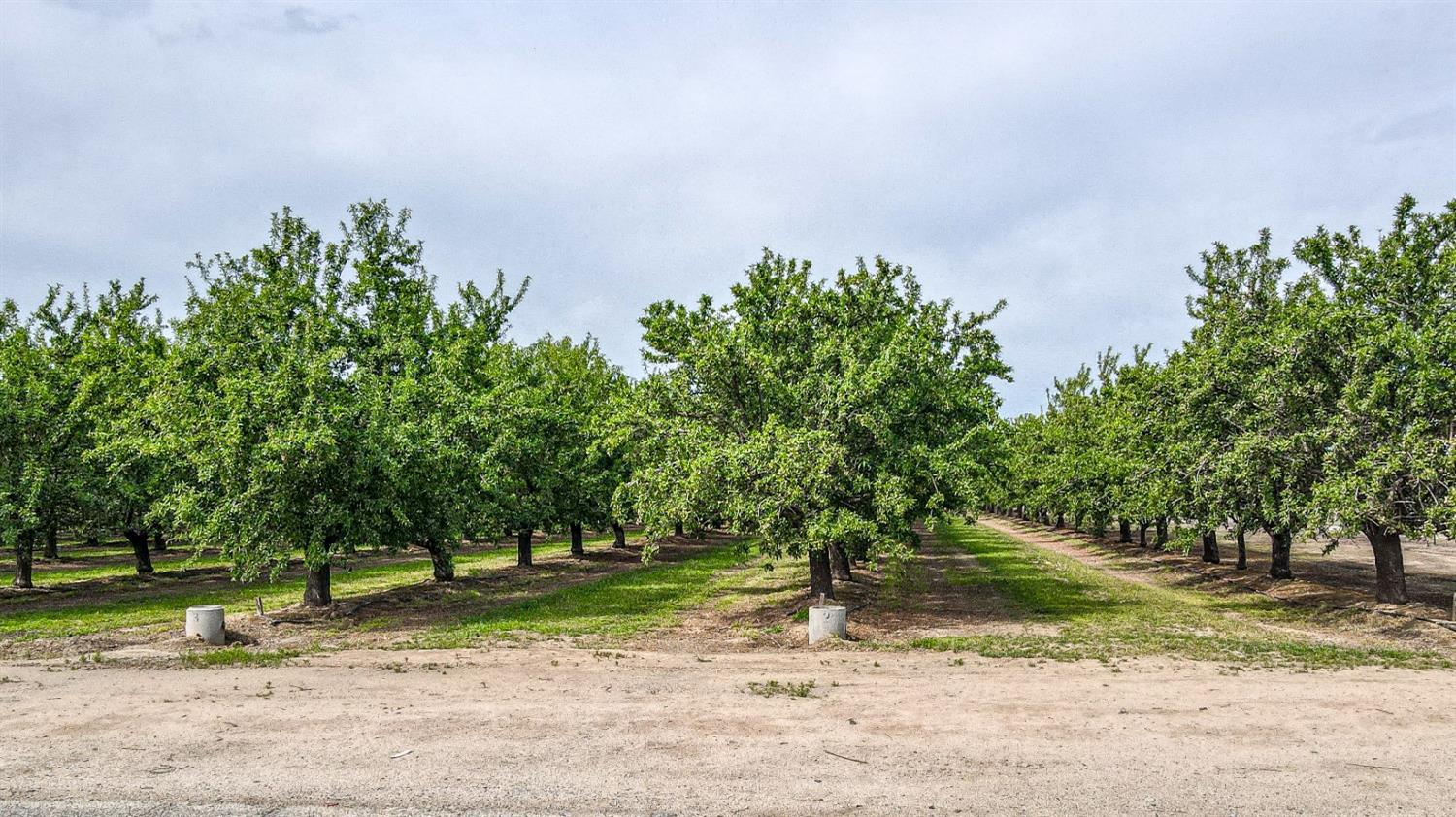 0 0 Road 29, Madera, CA 93637