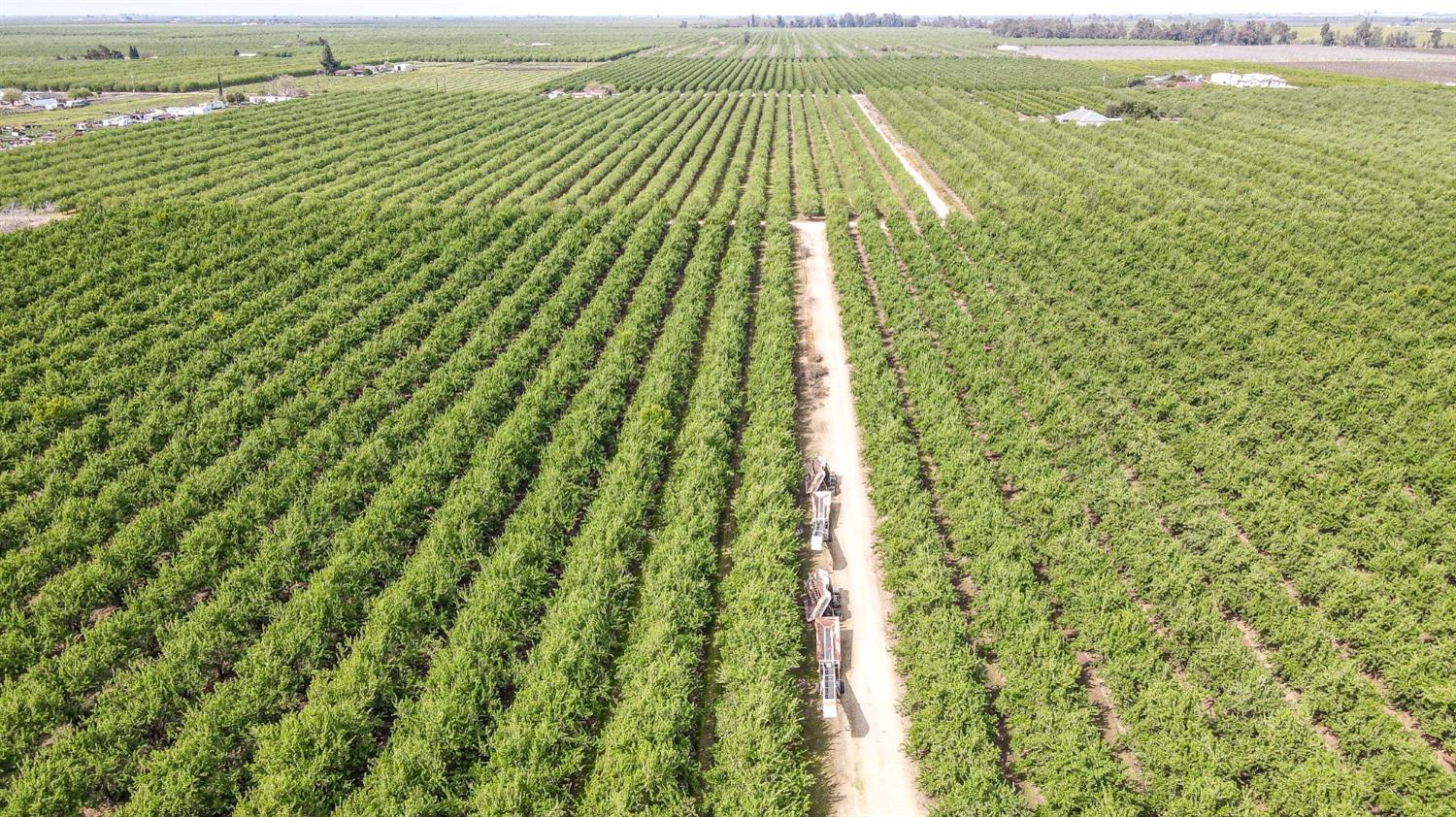 0 0 Road 29, Madera, CA 93637