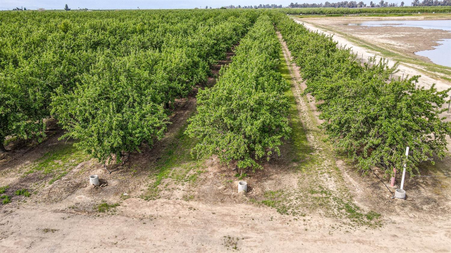 0 0 Road 29, Madera, CA 93637