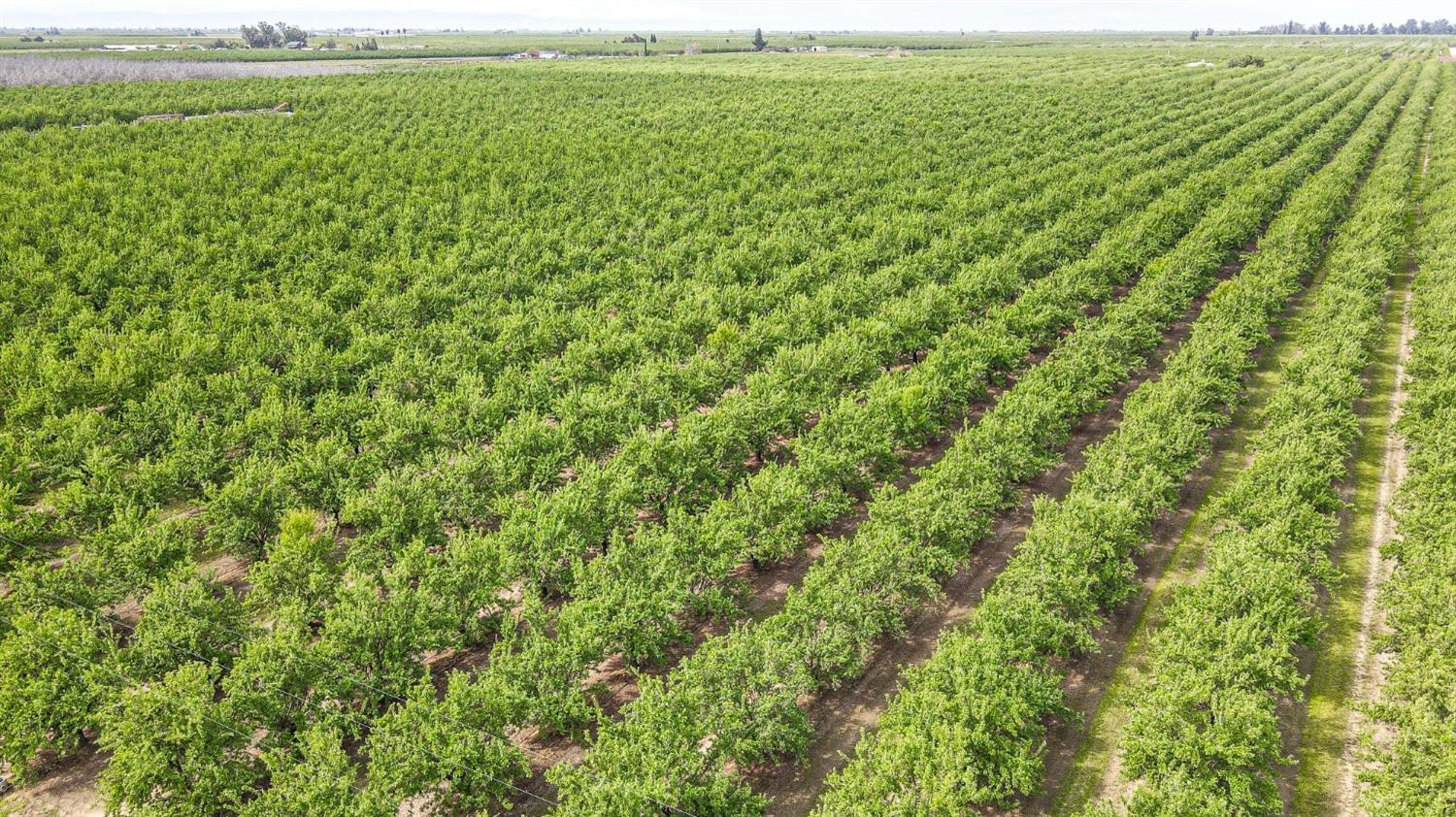 0 0 Road 29, Madera, CA 93637