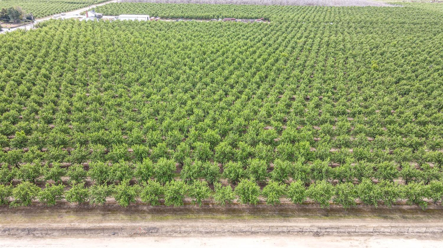 0 0 Road 29, Madera, CA 93637