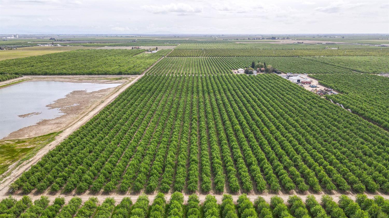 0 0 Road 29, Madera, CA 93637