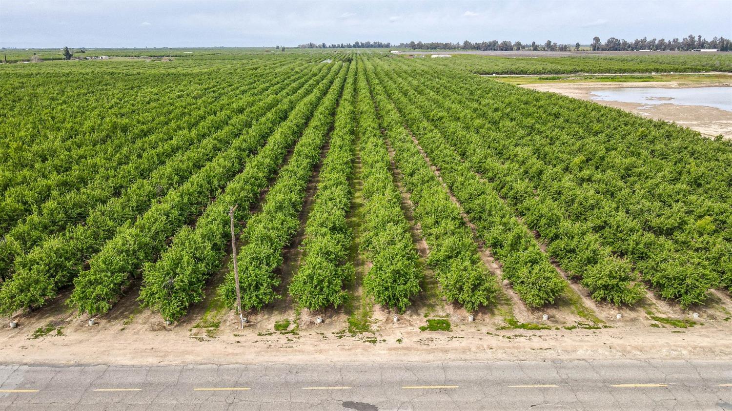 0 0 Road 29, Madera, CA 93637