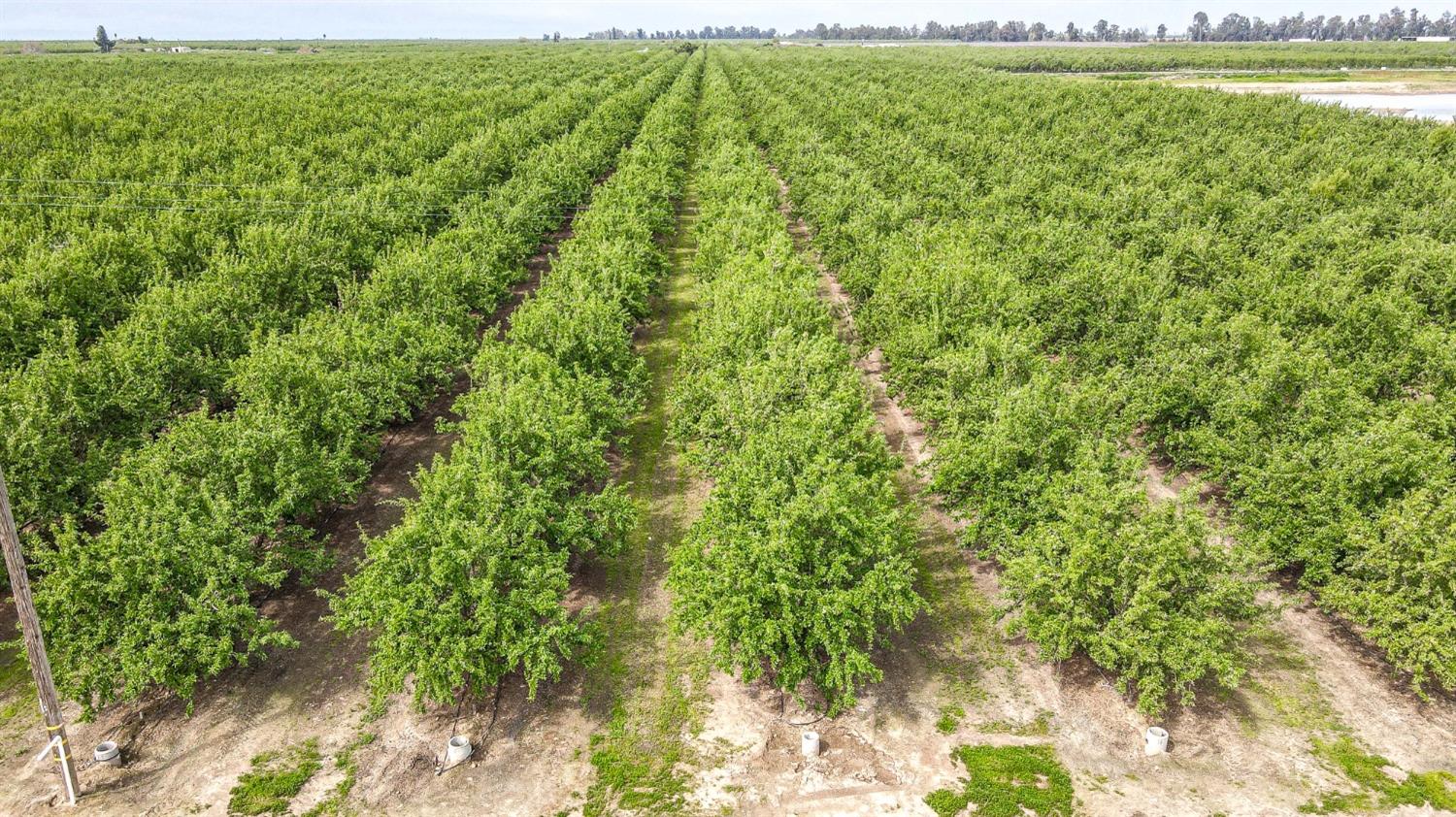 0 0 Road 29, Madera, CA 93637