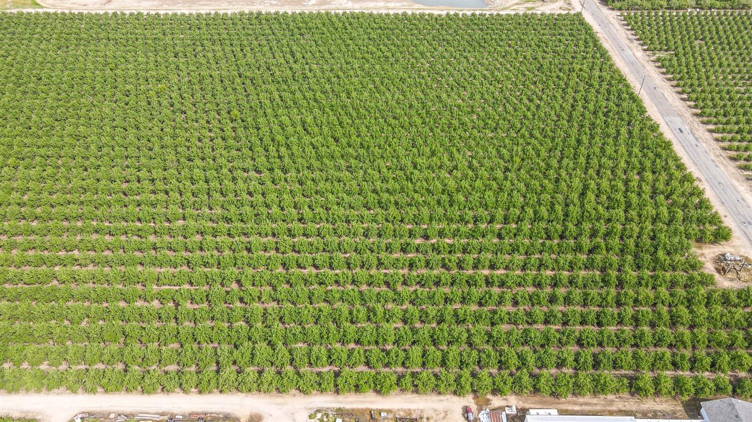 0 0 Road 29, Madera, CA 93637