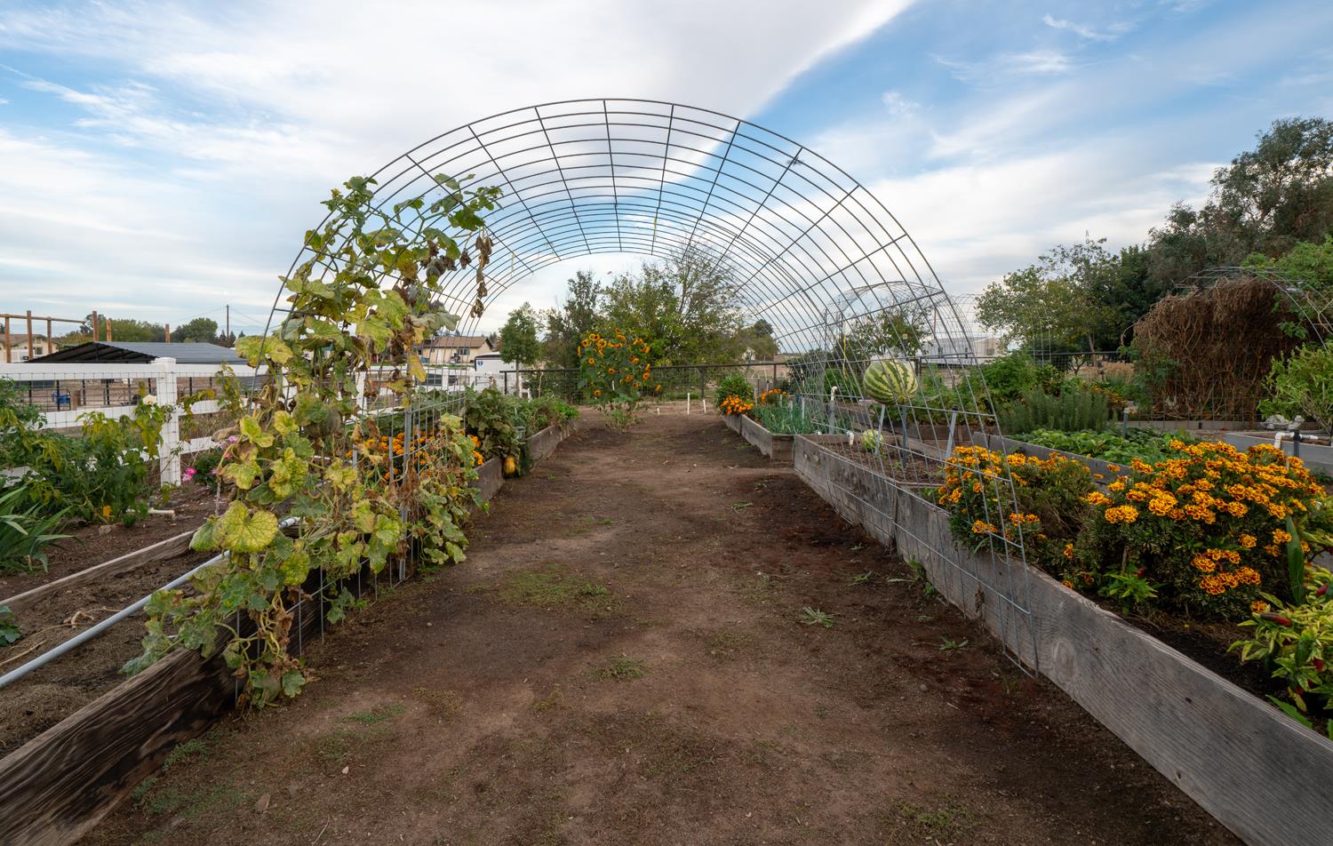 37143 Avenue 16, Madera, CA 93636